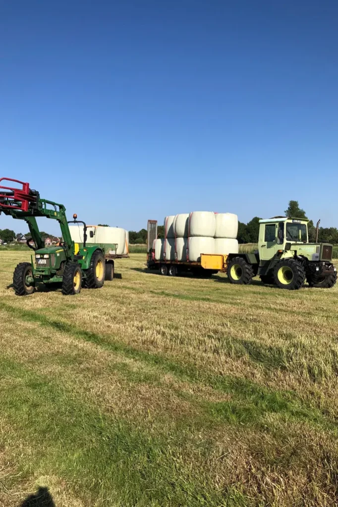 Heuernte - Heulage von Marschweiden