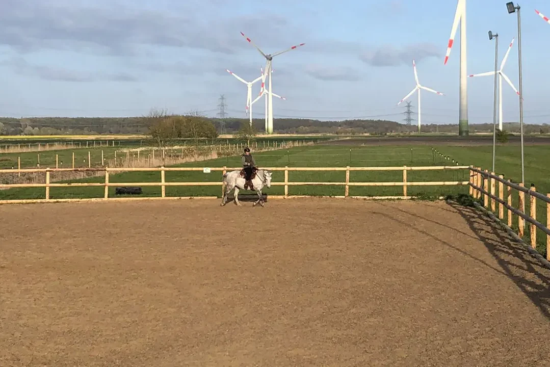 Reitplatz Aktivstall Schleswig Holstein