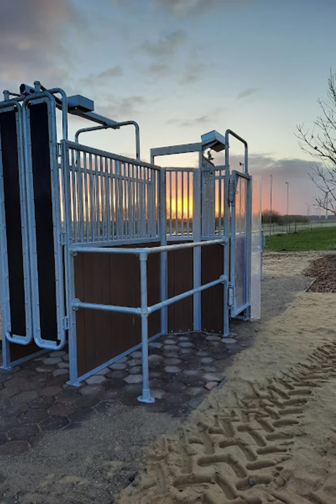 Kraftfutterstation mit Selektionstor zur Weide