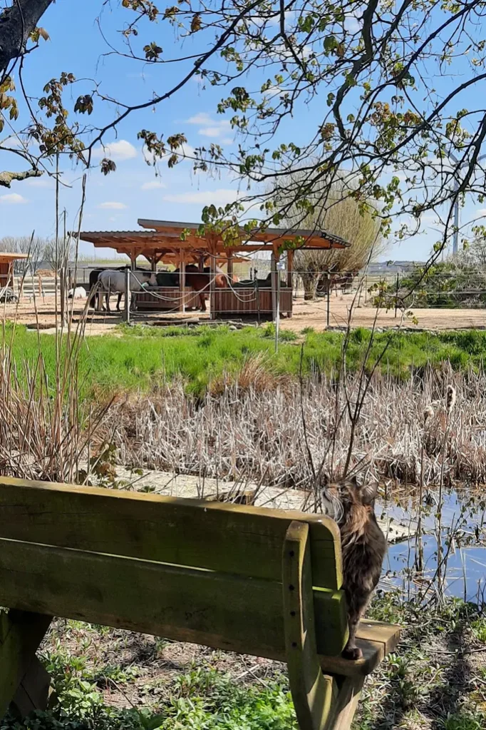 Überdachte Heuraufen