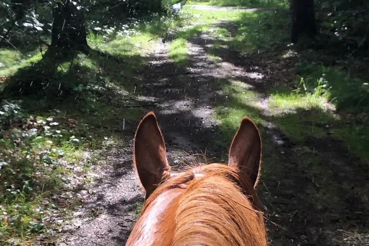 Ausreitgelände "Christianslust"