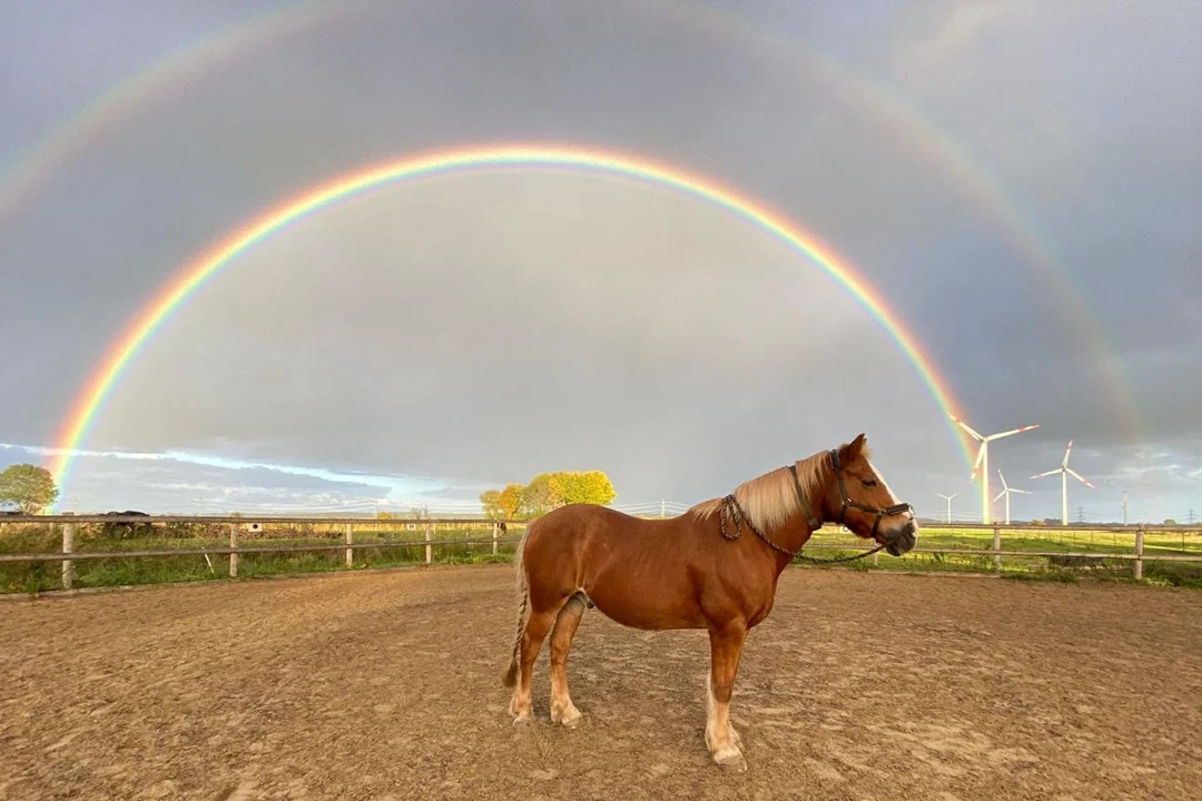 Regenbogen überm Aktivstall