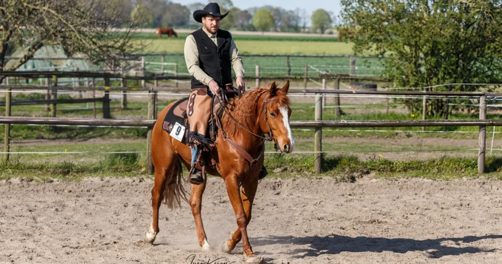 Westernreitunterricht Schleswig Holstein Westernreitunterricht Schleswig Holstein