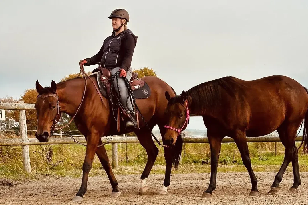 Anreiten mit Handpferd