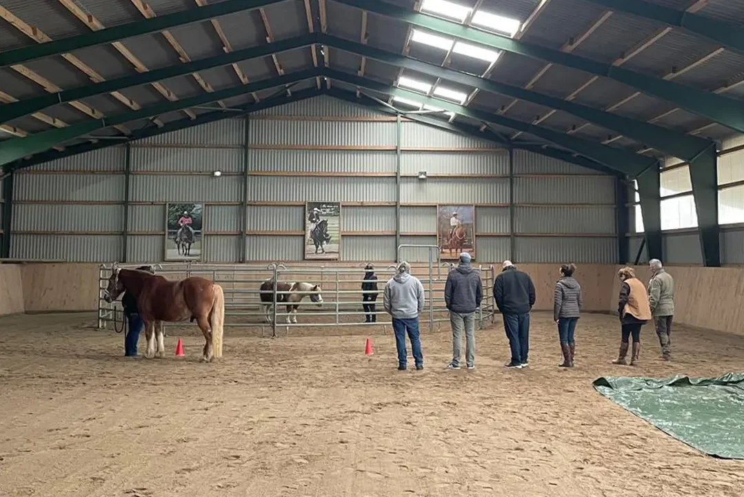 Coaching mit Pferden