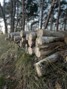 Coaching Dithmarschen Coaching und persönliche Weiterentwicklung in Schleswig-Holstein